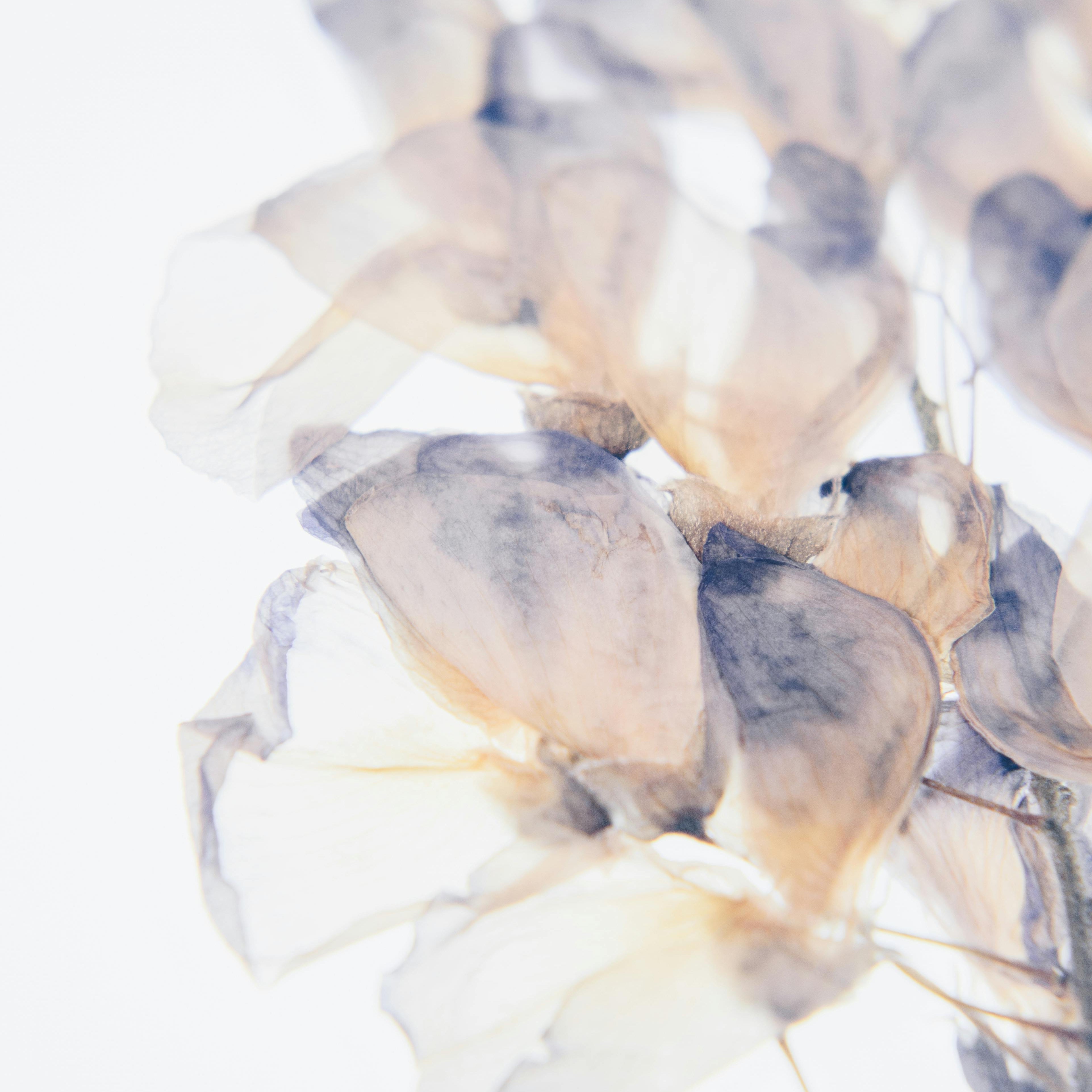 Abstract Nature