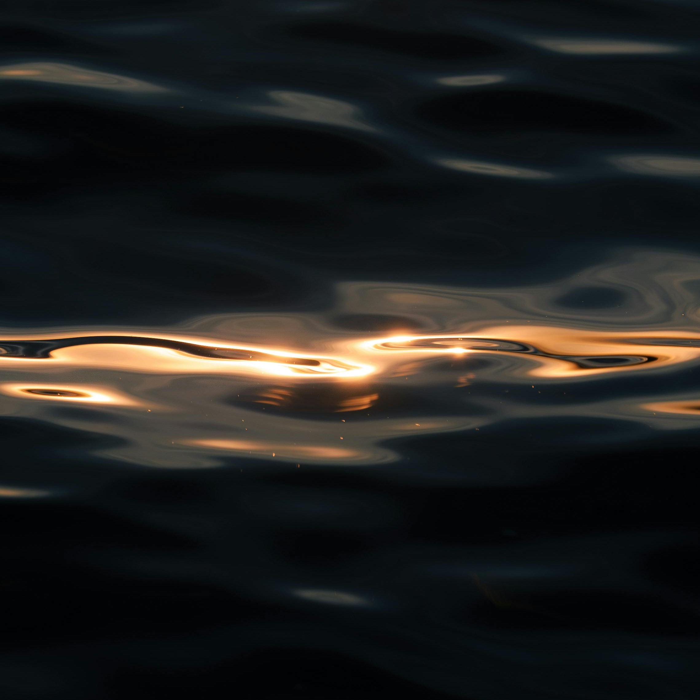 Cinematic Landscapes