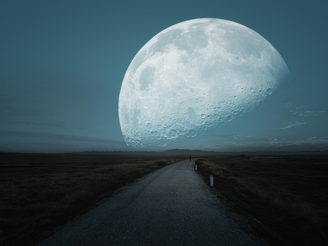 Science and Landscape